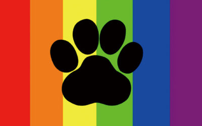 Is Furry A Sexuality?