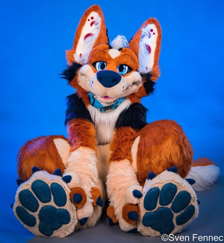 Protogen Fursuits: Everything You Need To Know - Fursonafy