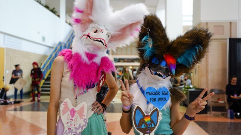 Furries on TikTok: How the Fandom Is Reaching Gen Z