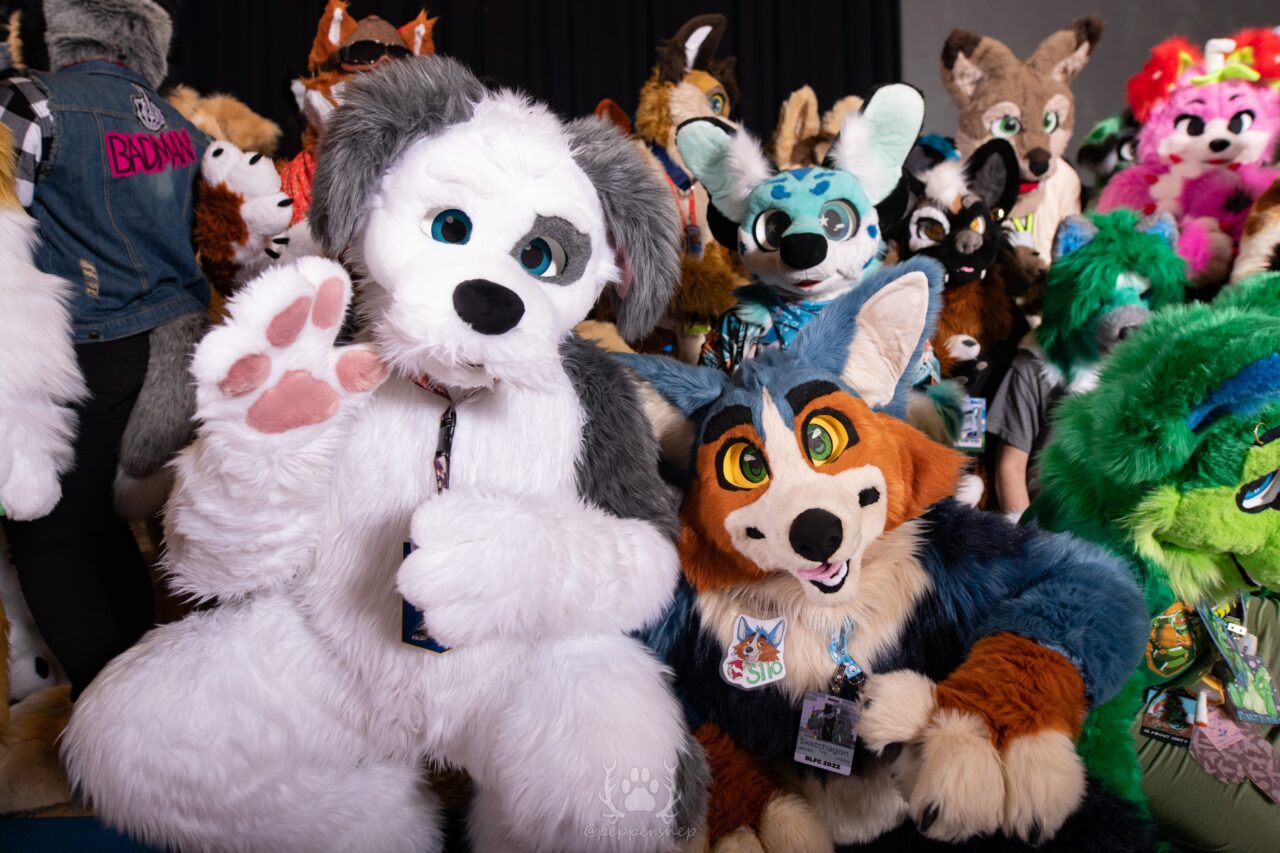 5 Tips To Make Biggest Little Fur Con A Great Experience Fursonafy