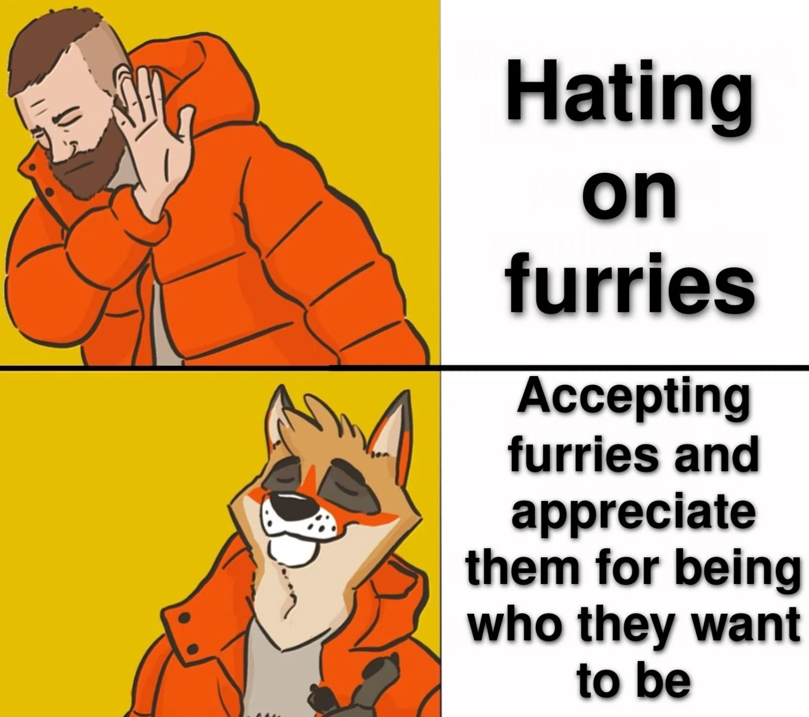 Drake Furry Meme 