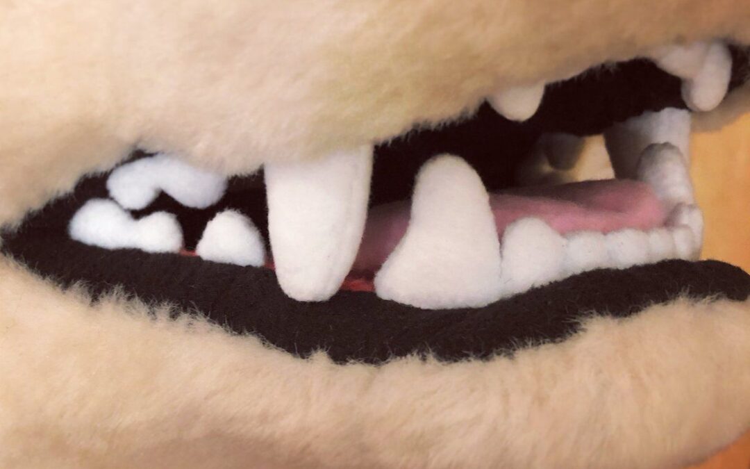 A Beginner’s Guide to Making Fursuit Teeth